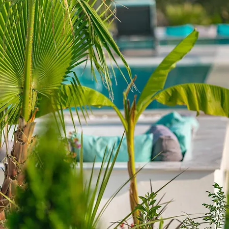 Nooa Skala Rachoni (Thasos)