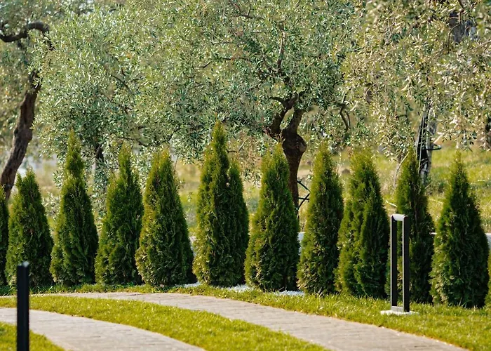 Nooa * Skala Rachoni (Thasos)